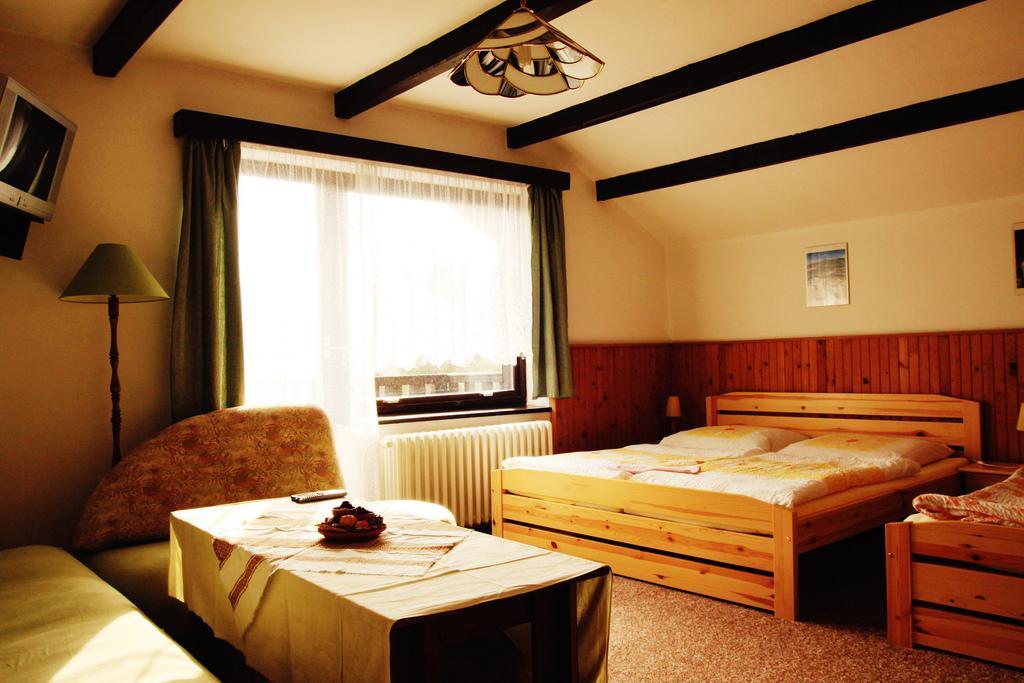 Pension Jana Harrachov Room photo